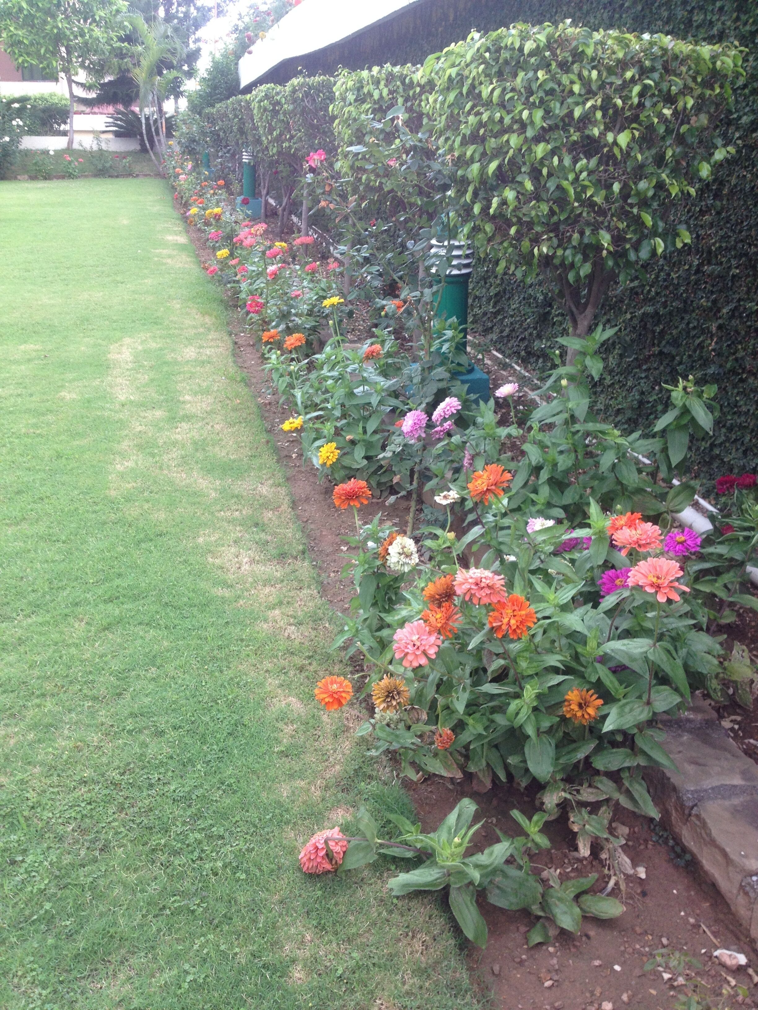 A garden with a variety of colorful flowers and a well-maintained lawn.