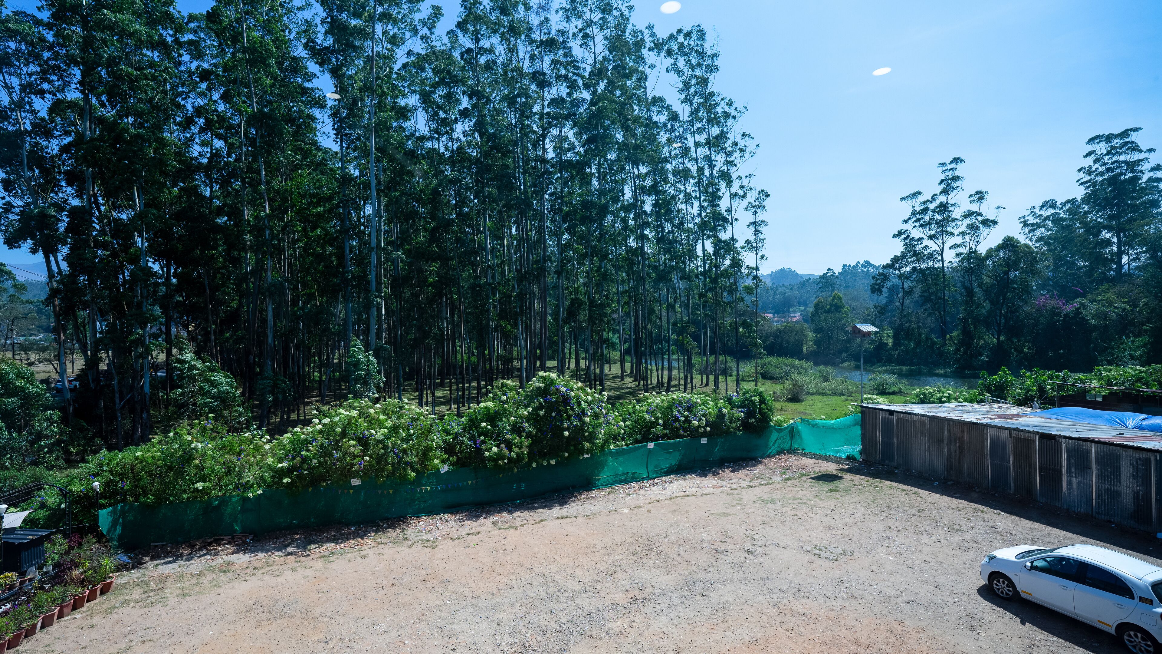 A parking area with a dirt ground, surrounded by tall trees and a green fence.