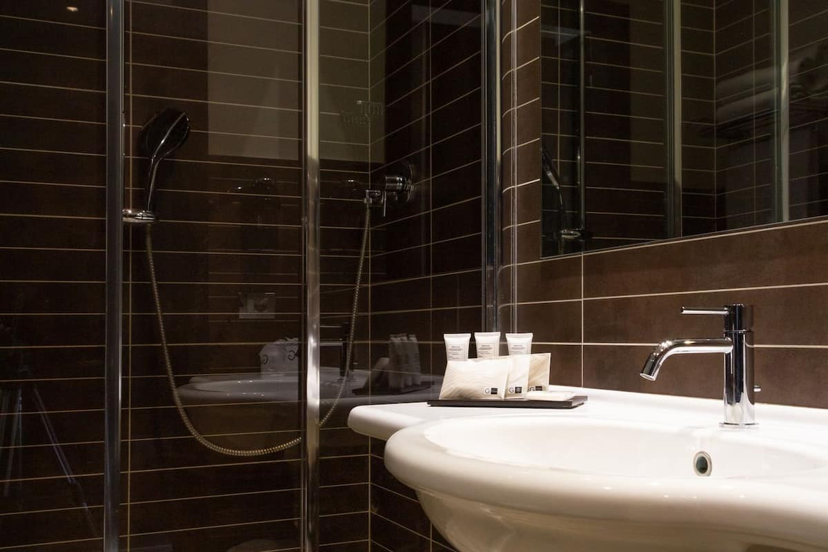 shower, free toiletries, hair dryer, slippers