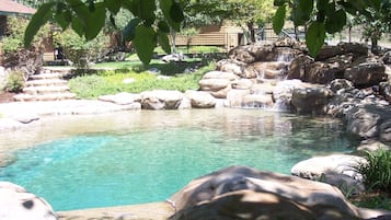 Seasonal outdoor pool, pool loungers