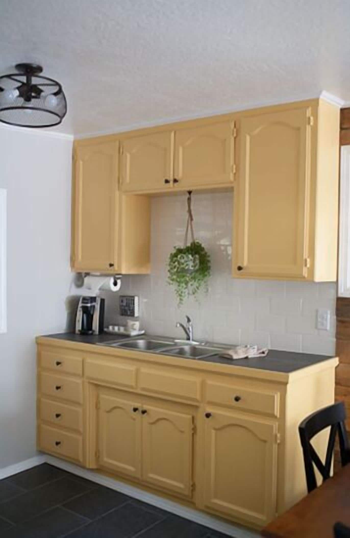 A compact kitchen with light yellow cabinets, a black countertop, and a hanging plant.