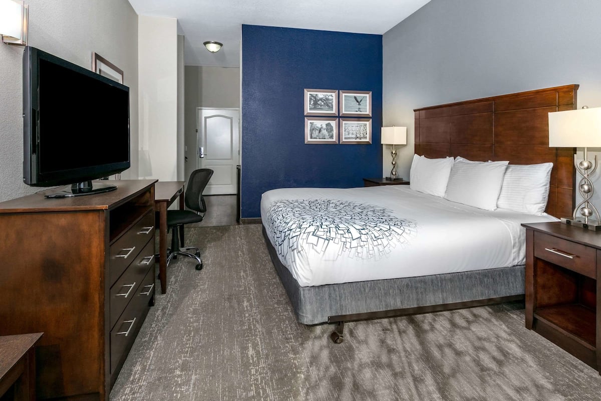 Room, 1 King Bed, Non Smoking | Premium bedding, pillowtop beds, desk, iron/ironing board