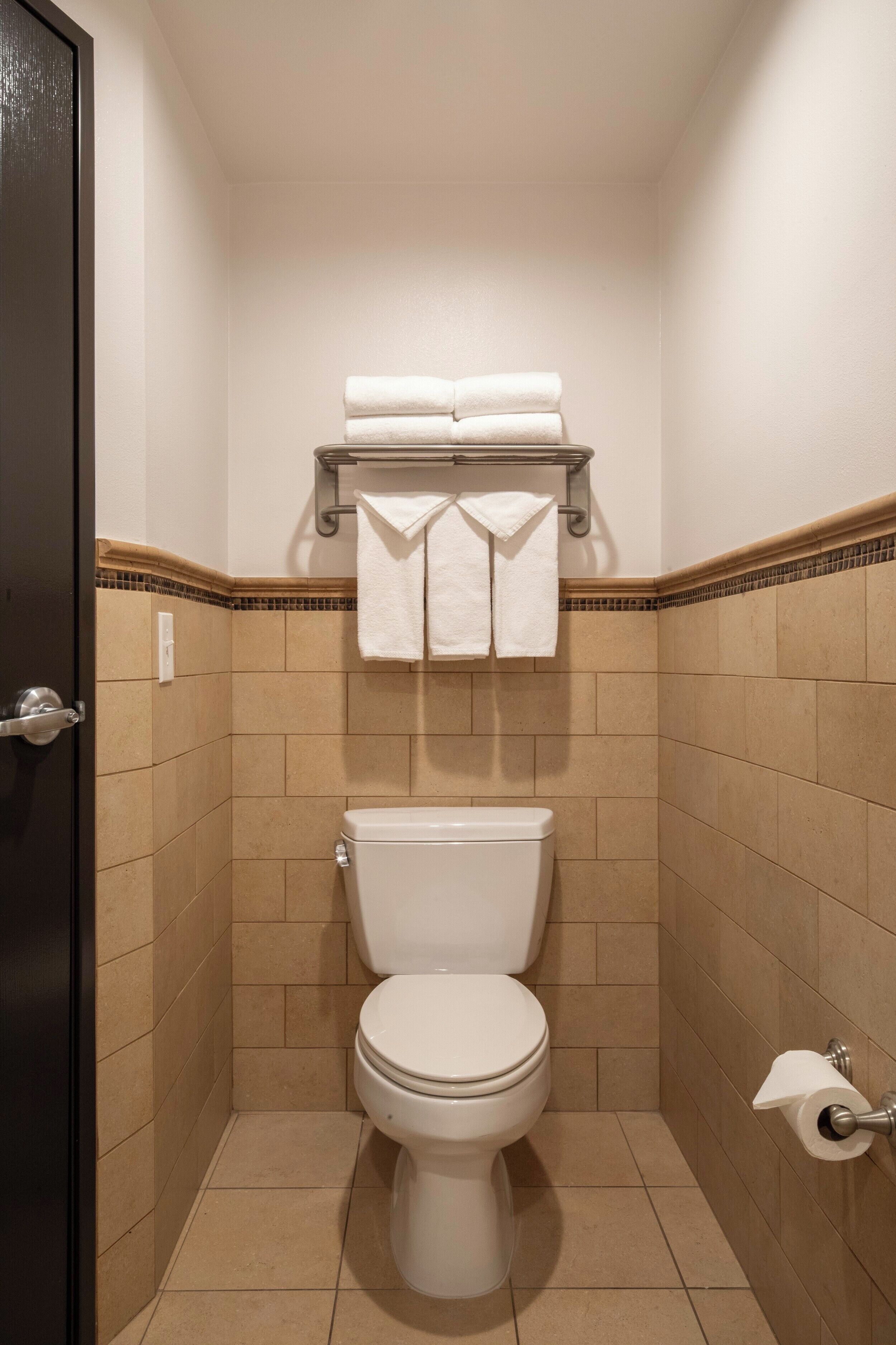 combined shower/bathtub, free toiletries, hair dryer, towels