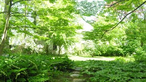 A stone pathway leading through a lush garden with dense foliage and a variety of plants. - Delano Homestead Bed & Breakfast (Fairhaven)