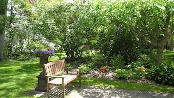 Un banco de madera en un jardín frondoso con diversas plantas y árboles.