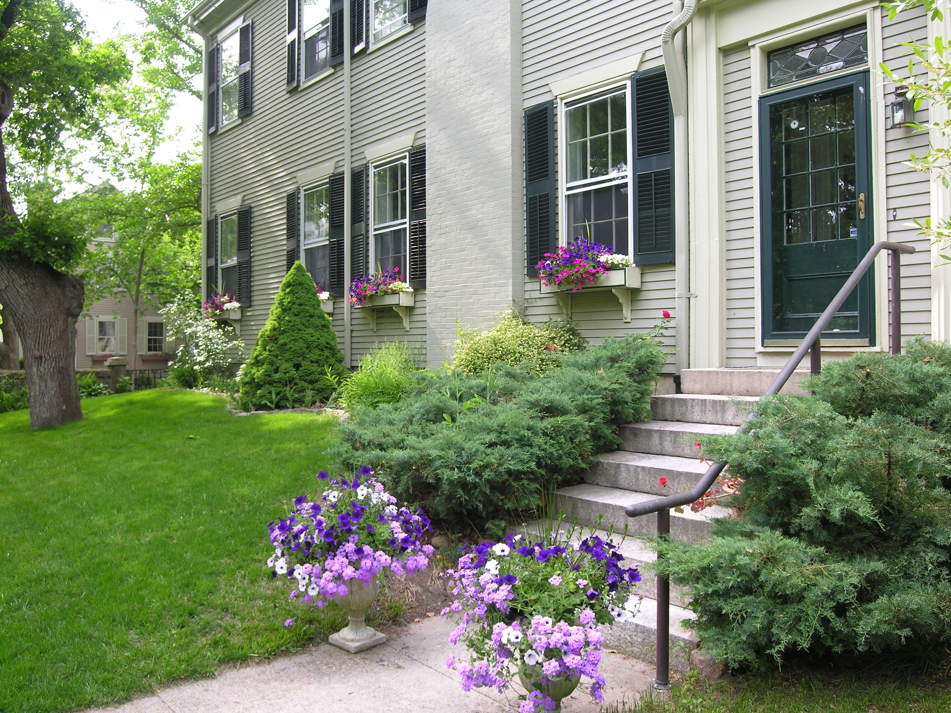 A two-story house with a well-maintained front yard, a small tree, and flower boxes on the windowsills.
