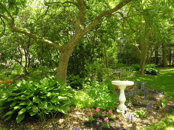 A garden with a white birdbath, lush greenery, and flowering plants.