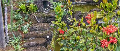 Volcano Room | Fountain