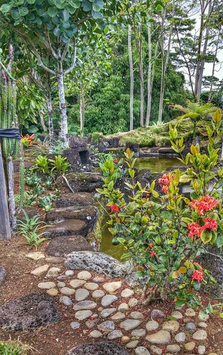 Hilltop Legacy Vacation Rental