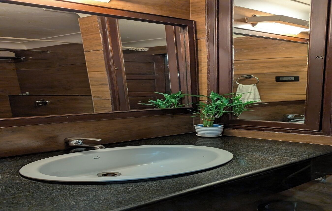 A bathroom with a large mirror, a white sink, and a potted plant.