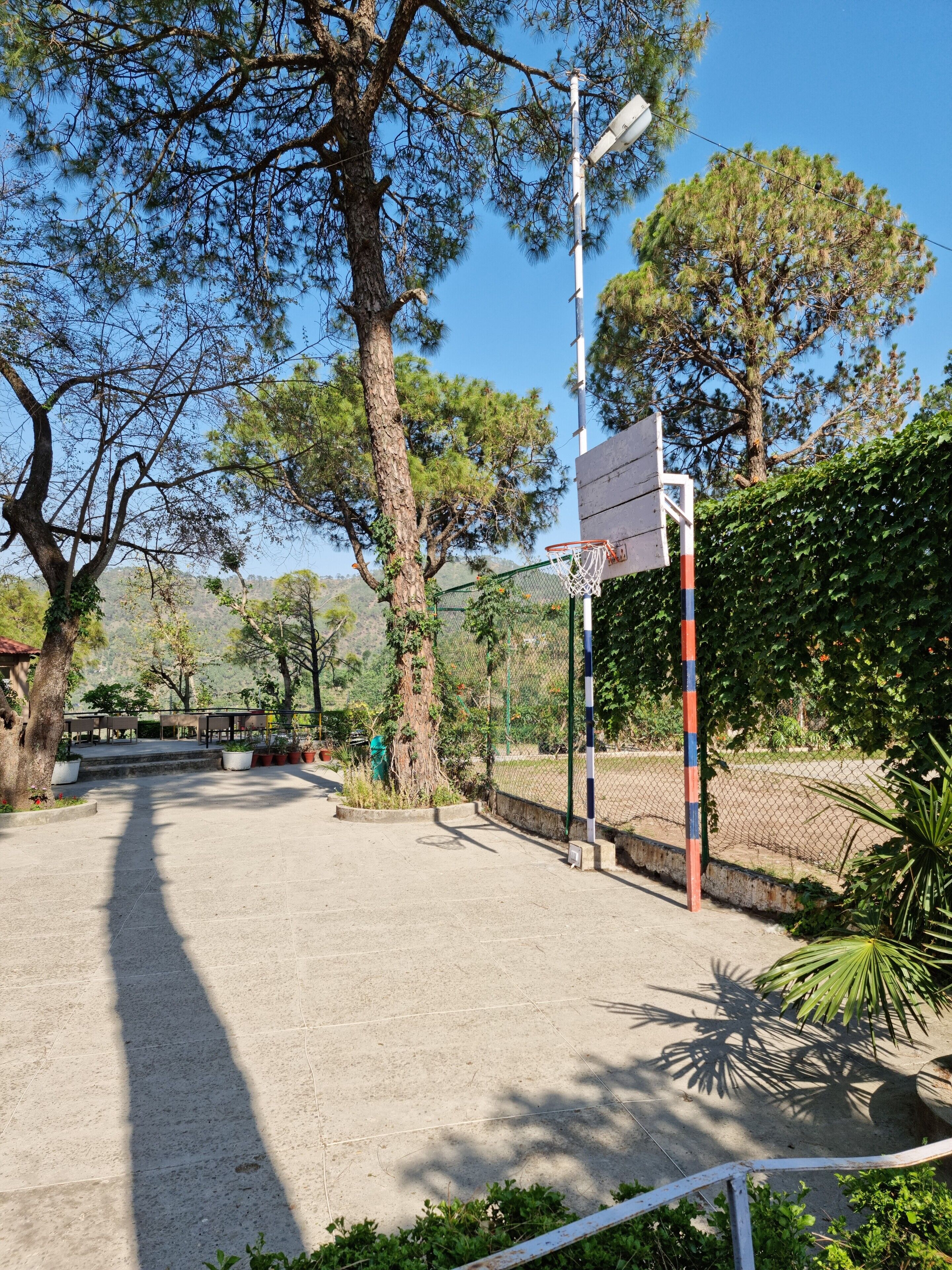 A basketball court with a net, surrounded by trees and a fence.