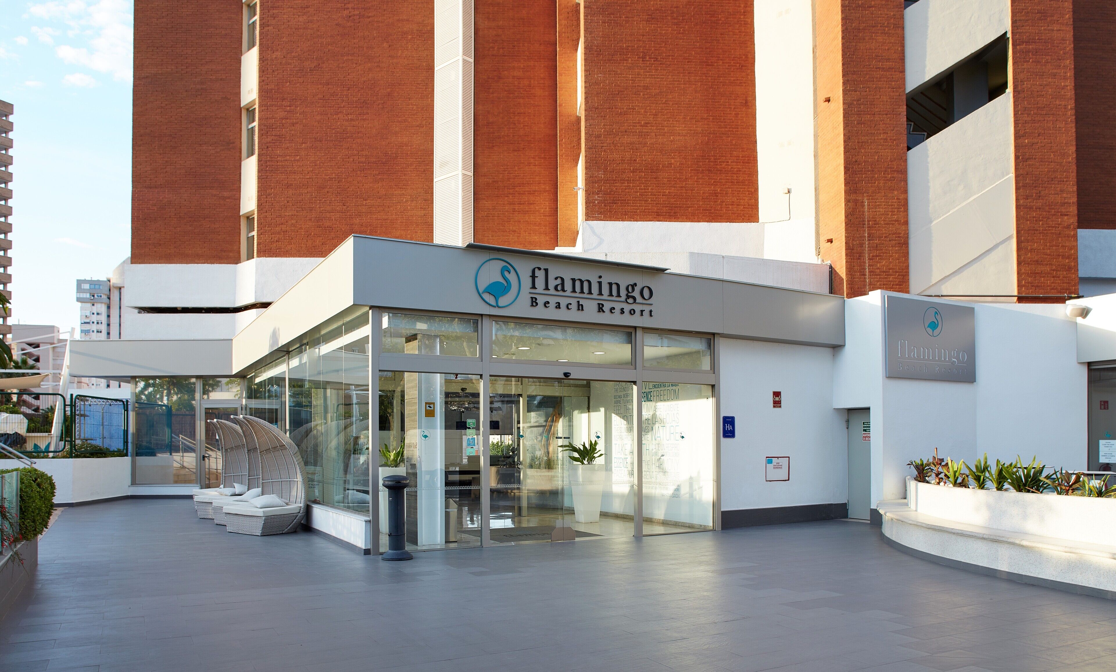 Photo - Flamingo Beach Resort - Adults Recommended