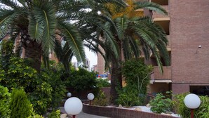Un área ajardinada con palmeras, un edificio de ladrillo y un camino de grava.