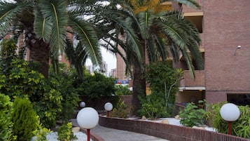 Un área ajardinada con palmeras, un edificio de ladrillo y un camino de grava.