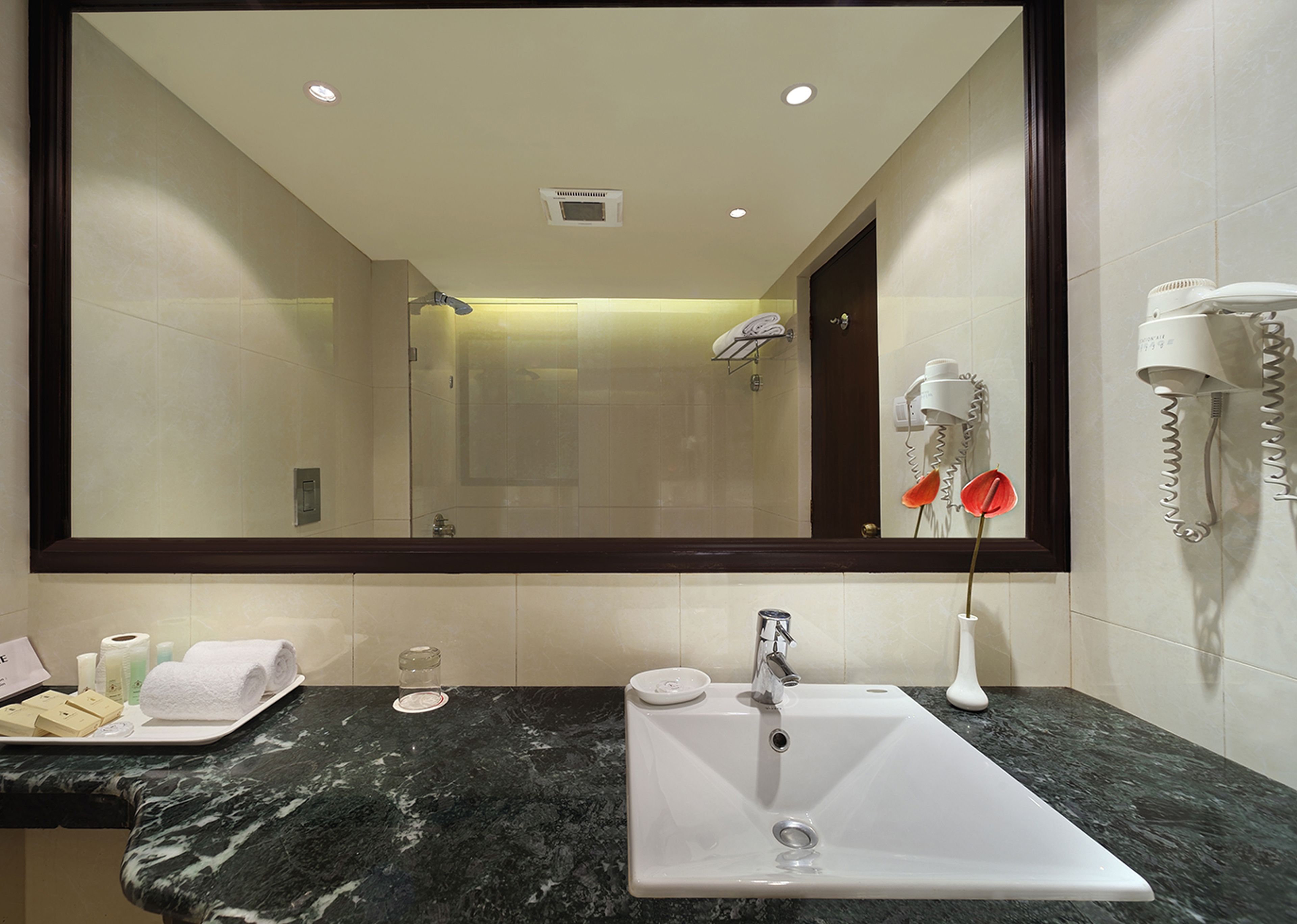 deluxe room | bathroom sink