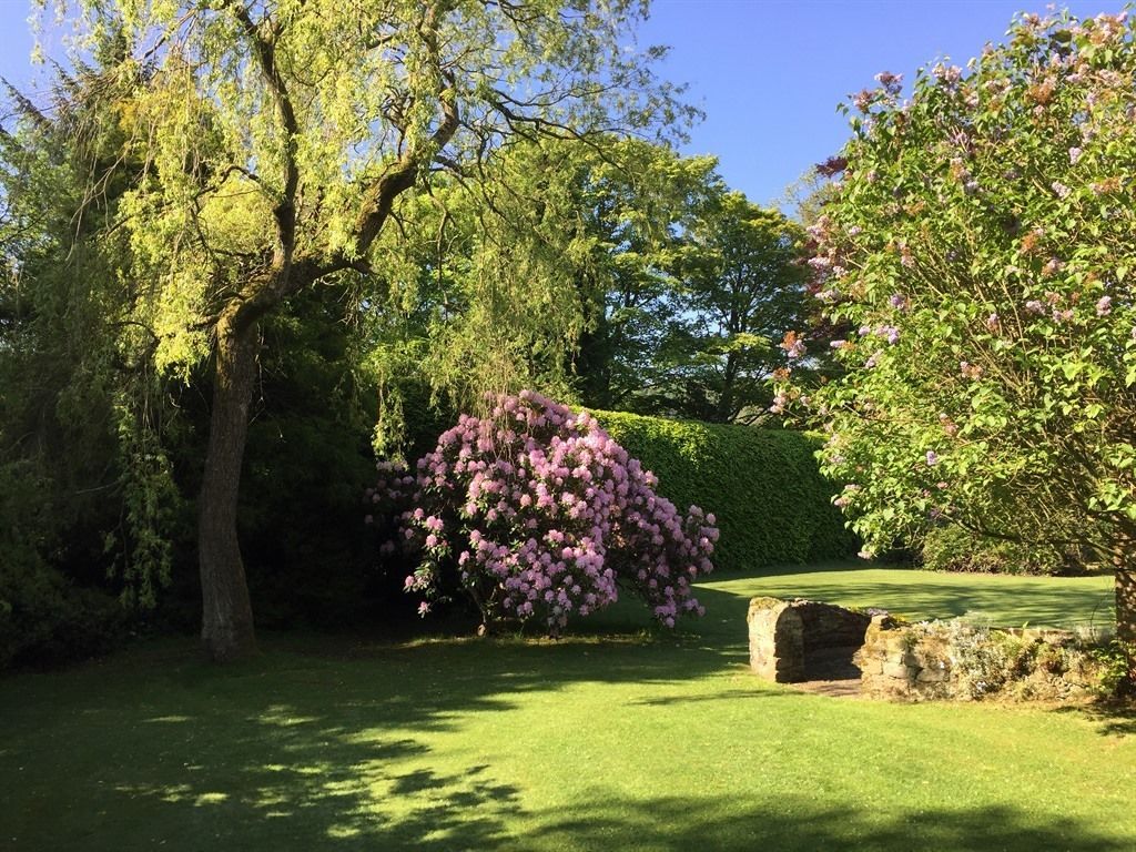 Ein Garten mit einem großen Baum, einem blühenden Strauch und einer Steinmauer.