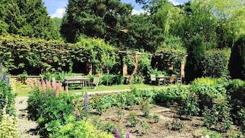 Jardim