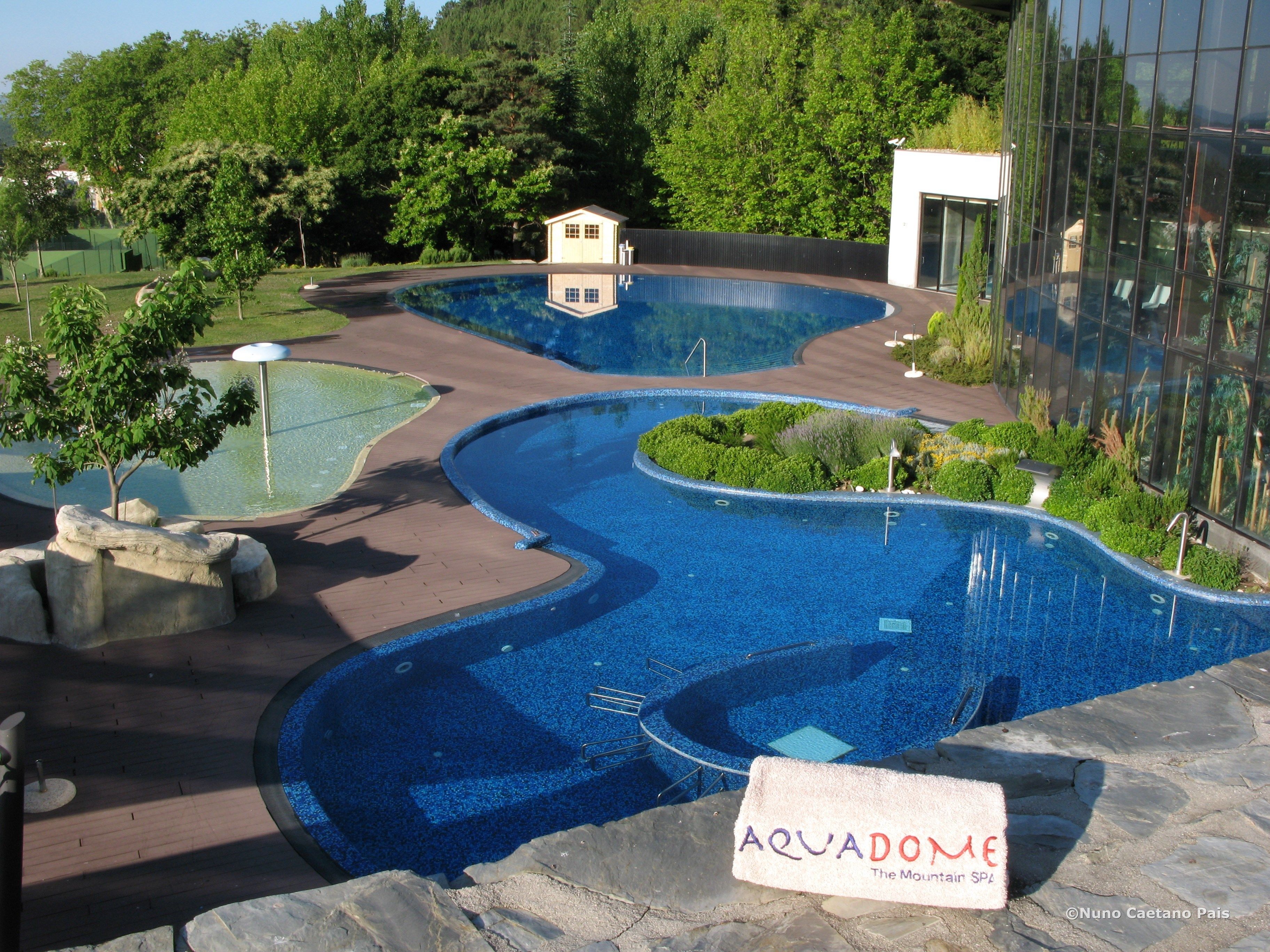 A swimming pool with a wavy design, surrounded by greenery and a small building.