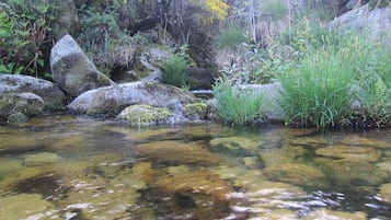 Un ruisseau aux eaux claires, bordé de rochers et de végétation.