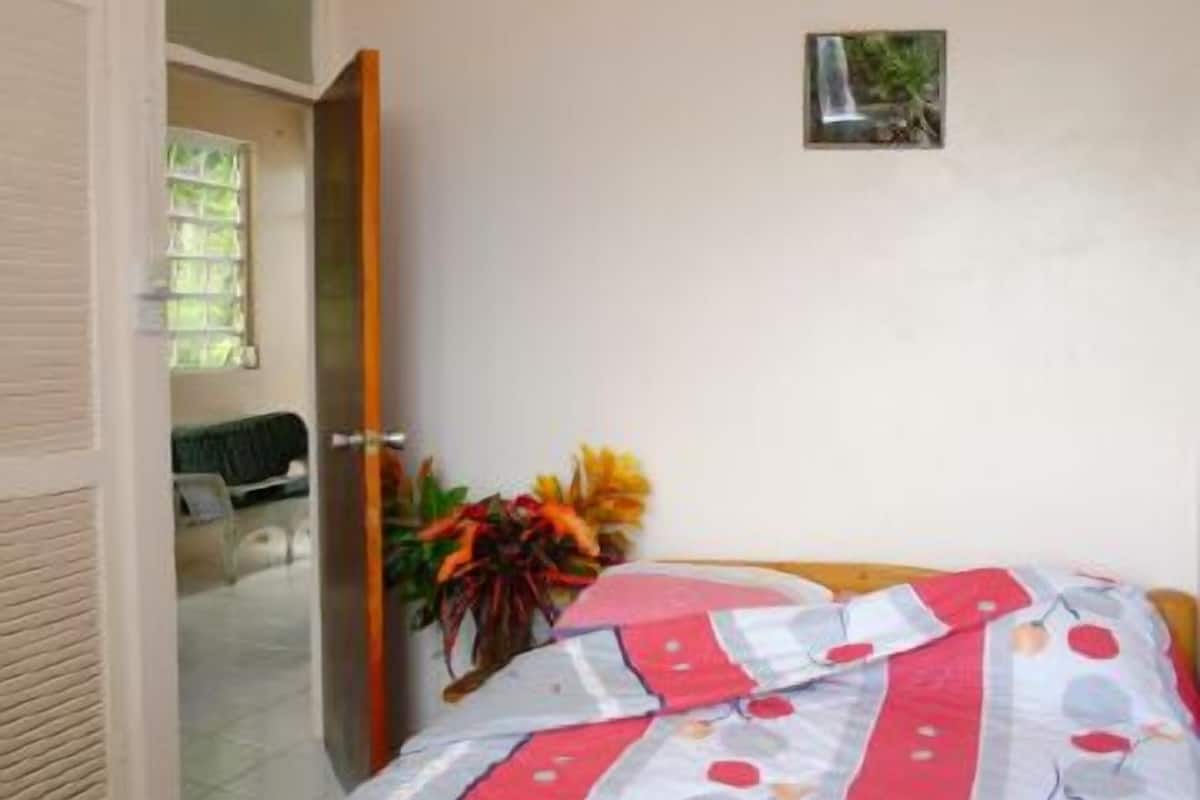 Deluxe appartement, 2 tweepersoonsbedden | Een strijkplank/strijkijzer, gratis wifi