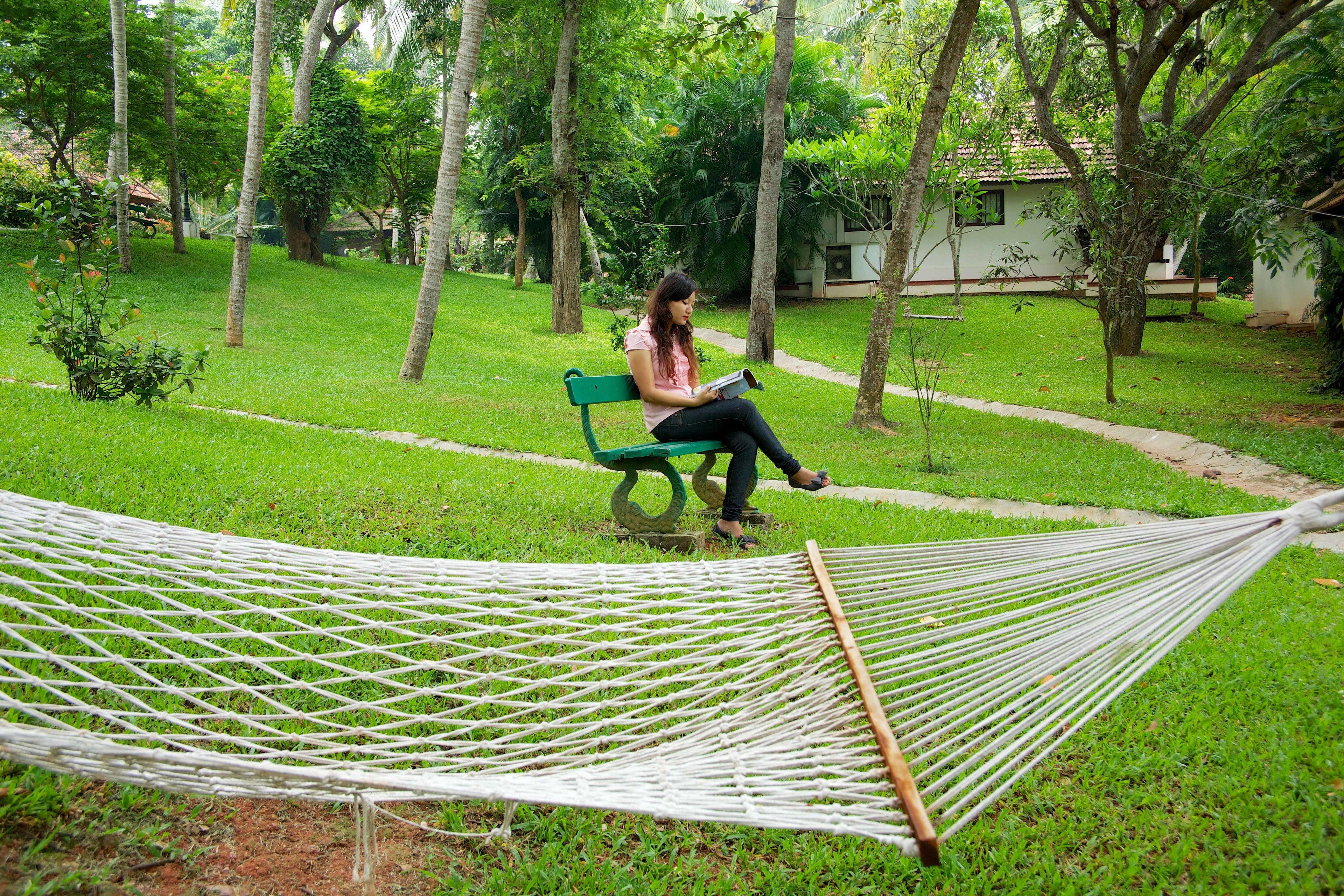 Una hamaca en un área verde con un banco y árboles al fondo.