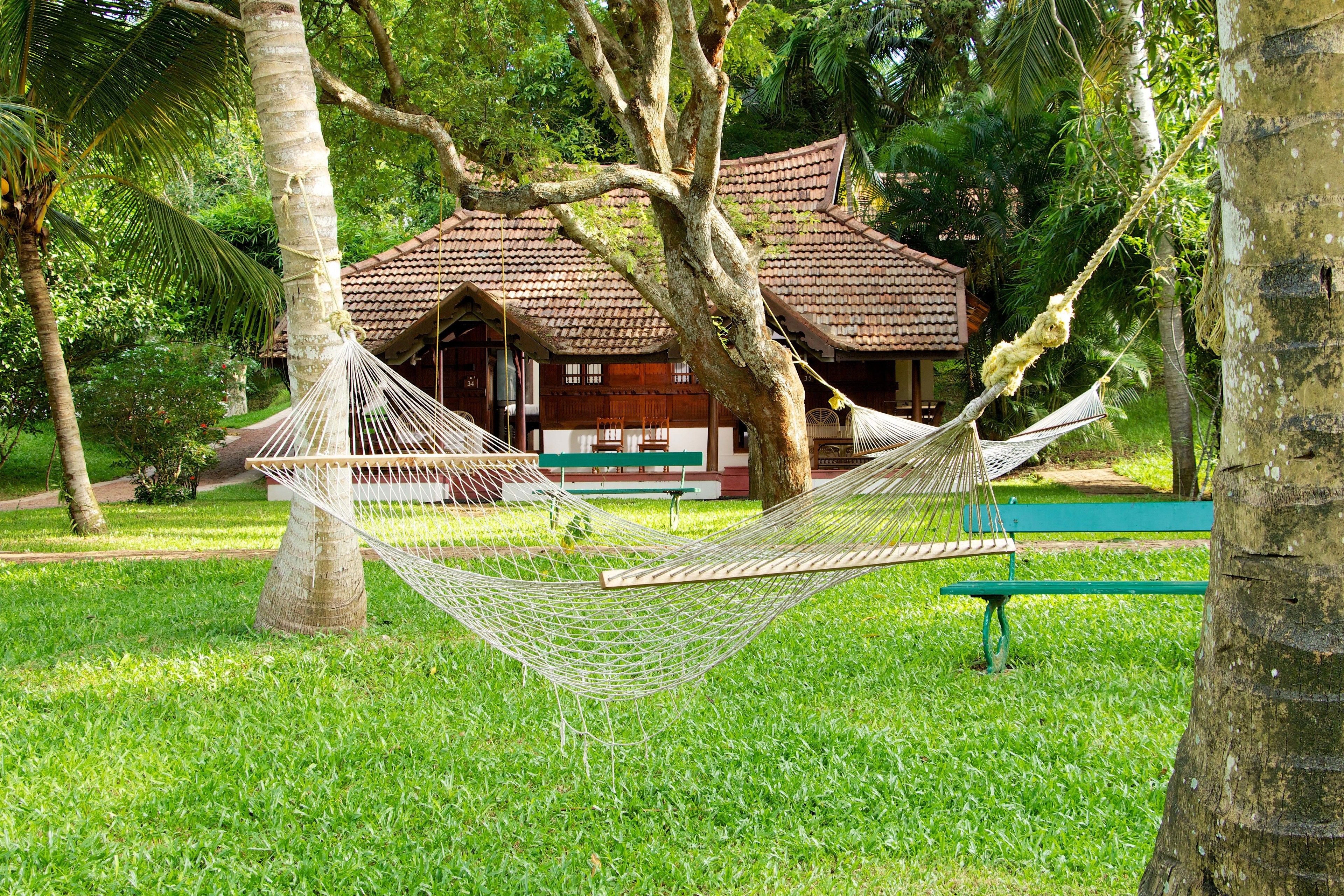 A hammock tied between trees in a lush garden with a traditional house in the background.