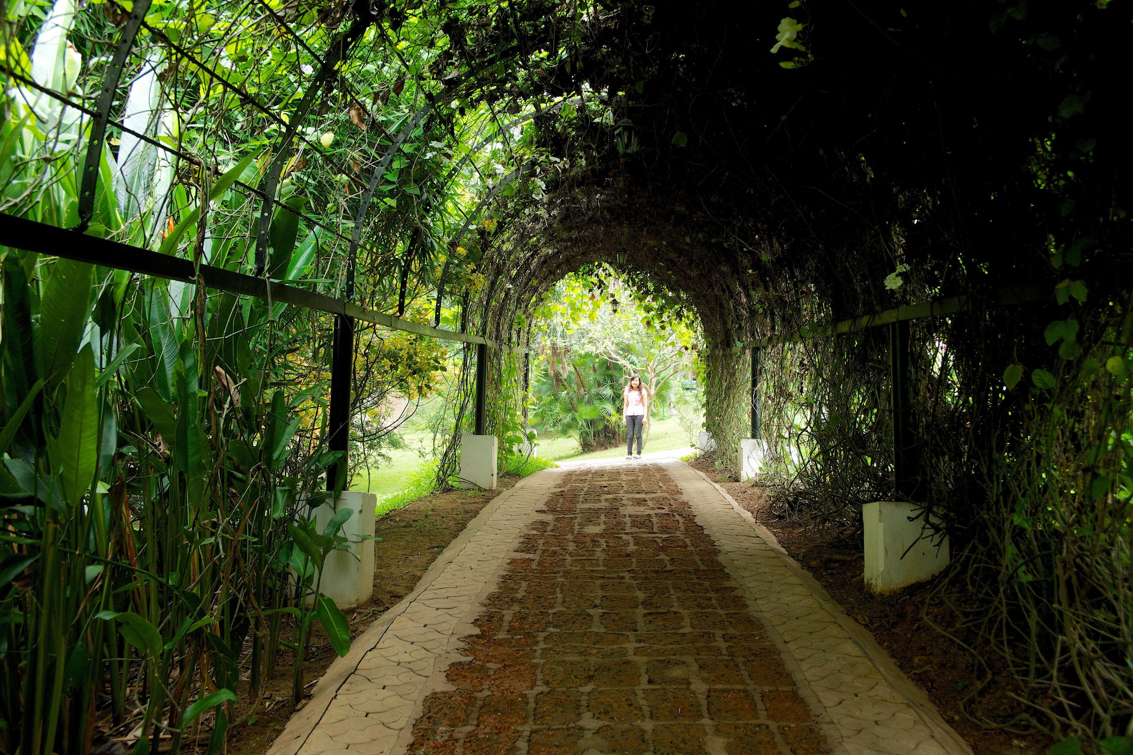 Garten