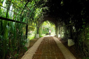 Jardim