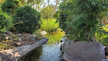 Vista al jardín