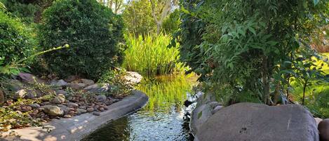 Un jardín tranquilo con un estanque, rodeado de plantas y rocas.