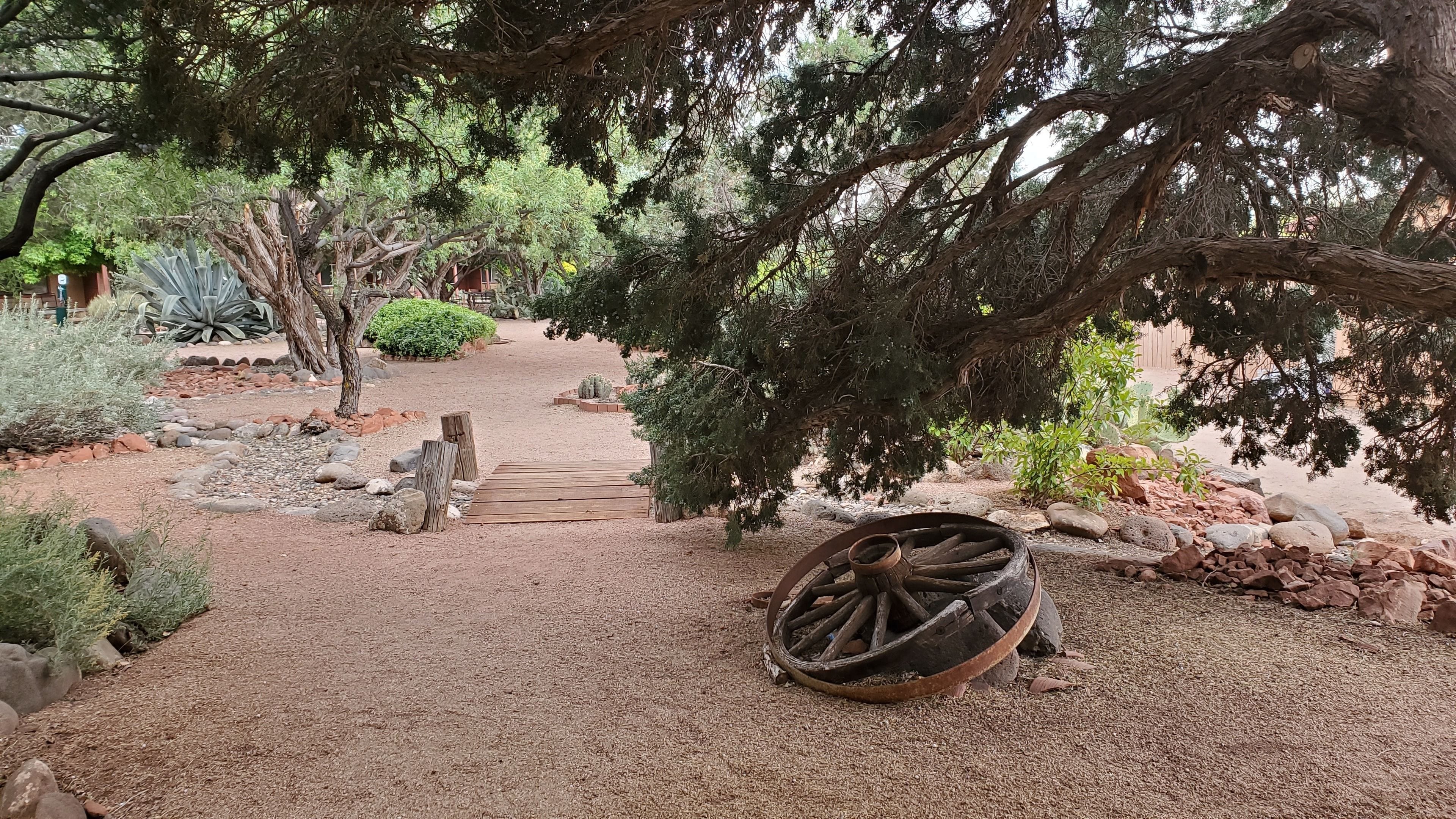 A rustic garden with a wooden pathway, a large tree, and a wooden cart.