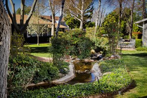 A garden with a small pond, various plants, and a lawn.