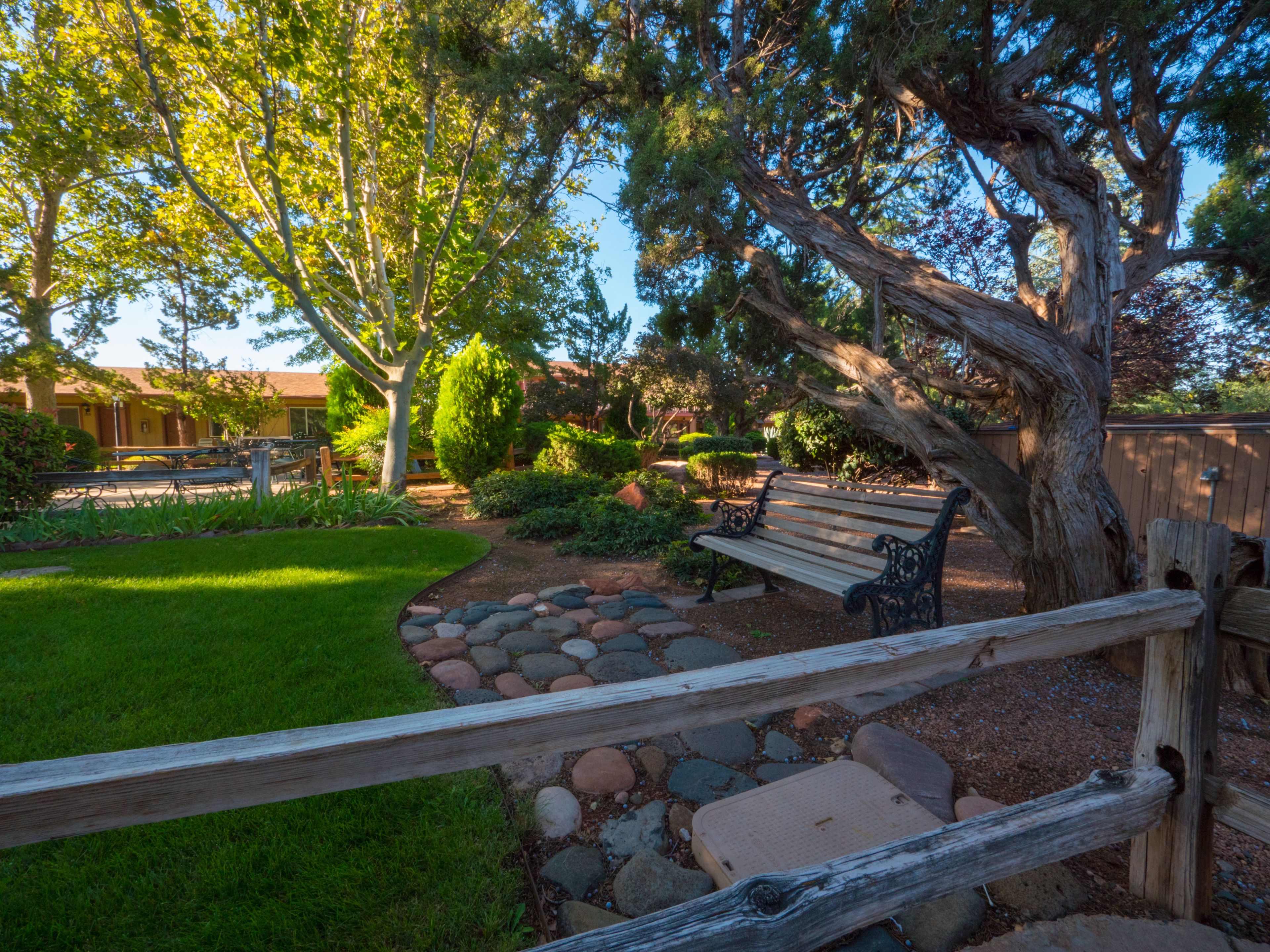 Un jardín con un banco de madera, un sendero de piedra y un gran árbol.