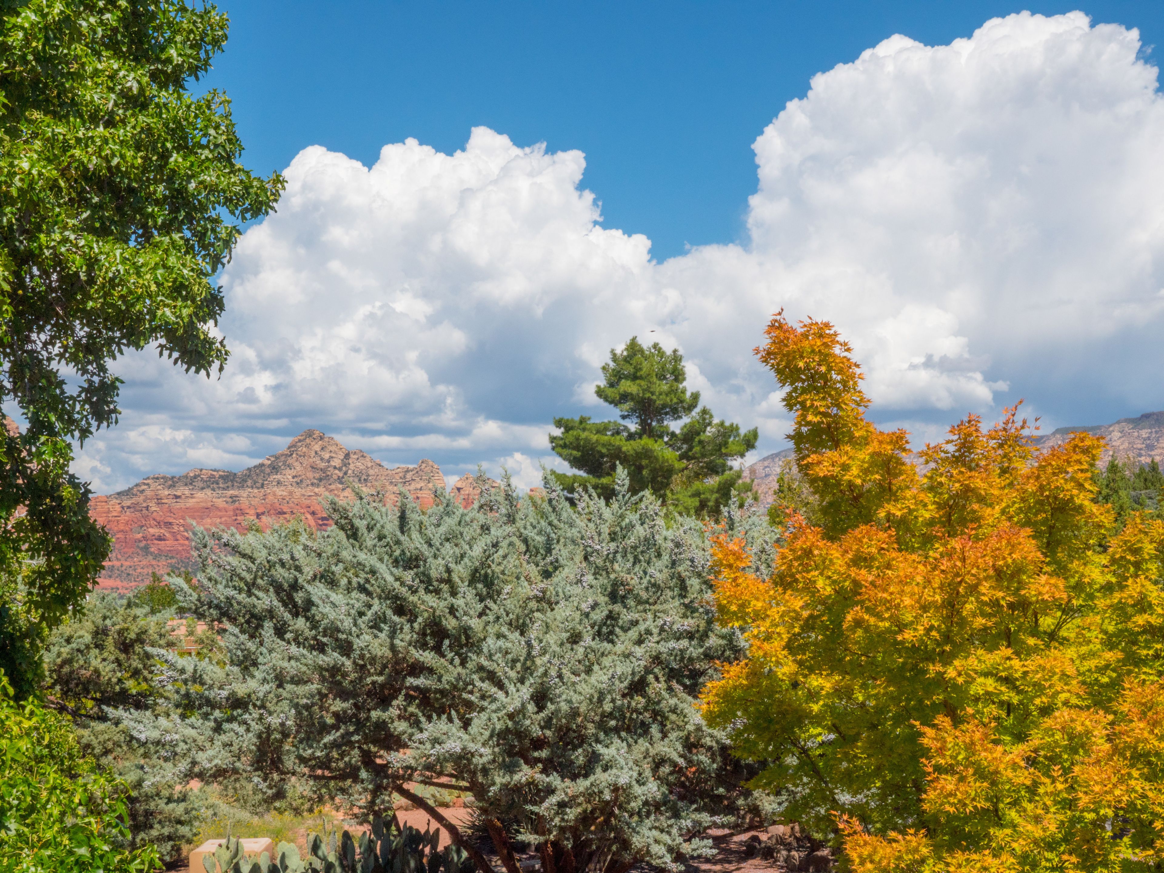 Chambre Tradition, 2 grands lits, cheminée | Vue de la chambre