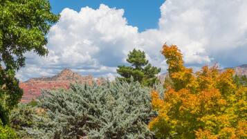 Partial View Double Queen Traditional (Gas Fireplace. Distant Mountain Views) | View from room