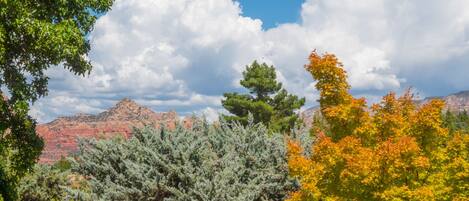 A landscape with trees, a clear sky, and mountains.