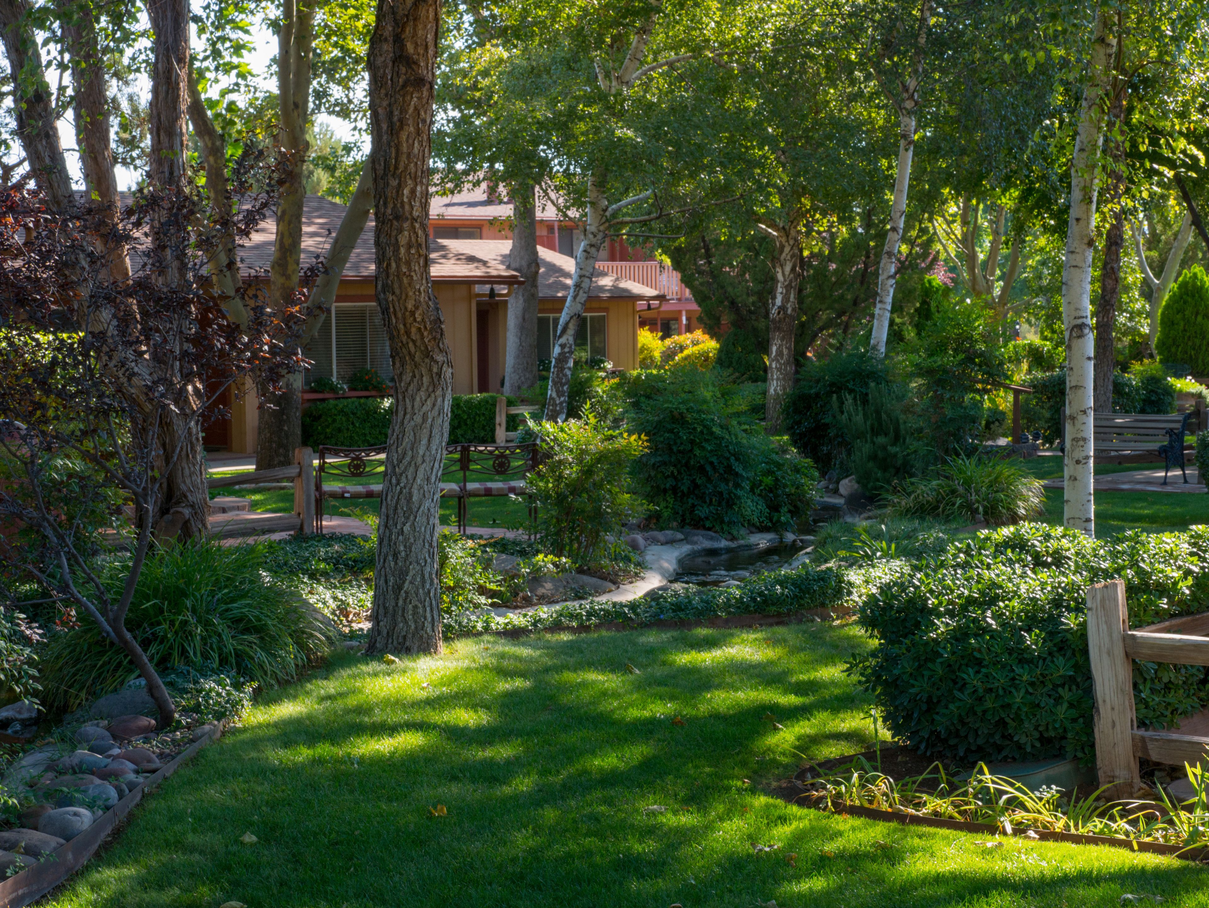 Un jardin bien entretenu, agrémenté de divers arbres, d’un petit élément décoratif aquatique et d’un banc en bois.