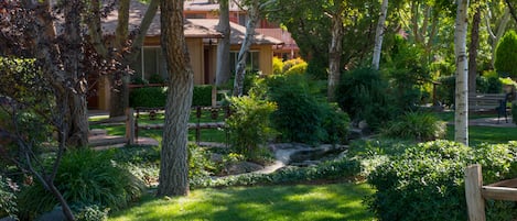Un jardín bien cuidado con diversos árboles, un pequeño elemento acuático y un banco de madera.