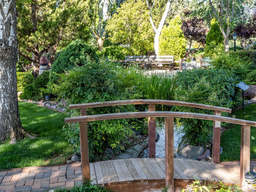 Un ponte di legno sopra un piccolo ruscello in un giardino, con una panchina e un cartello.