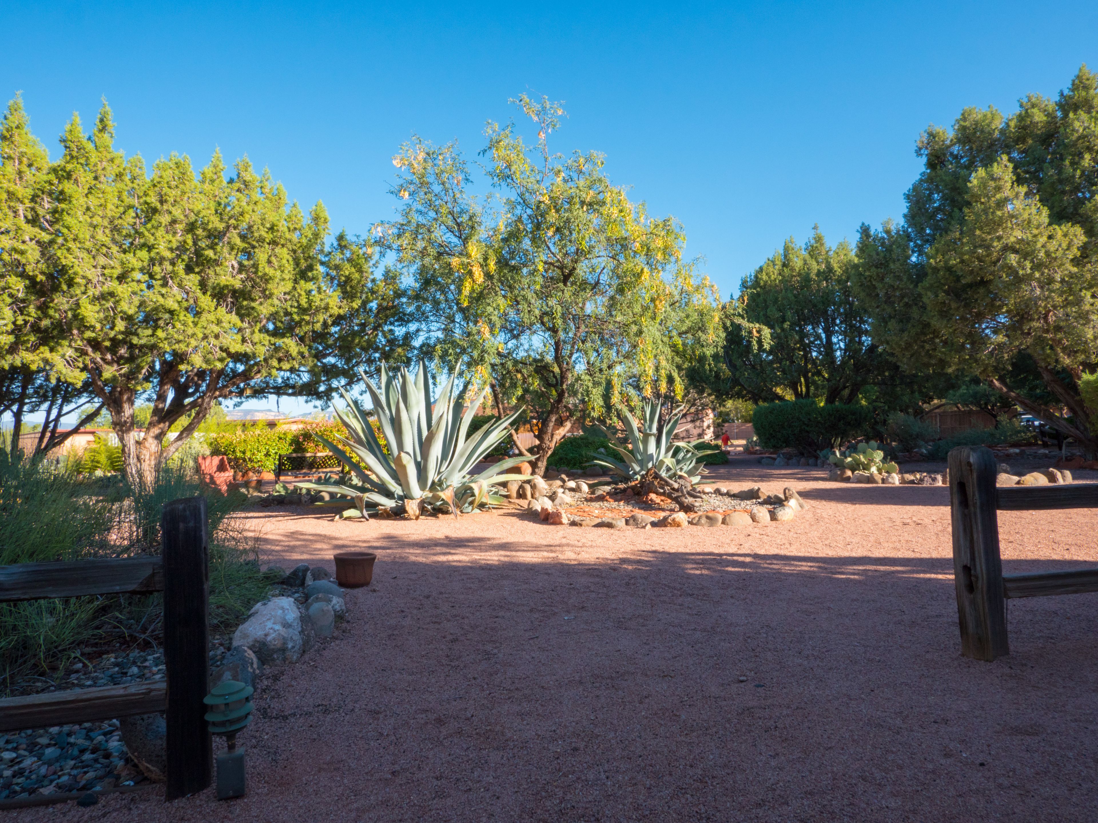 A garden with various plants and a wooden fence.