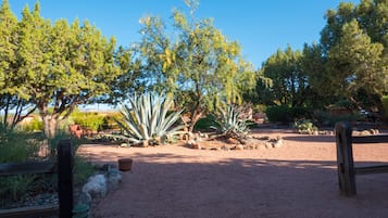 A garden with various plants and a wooden fence.
