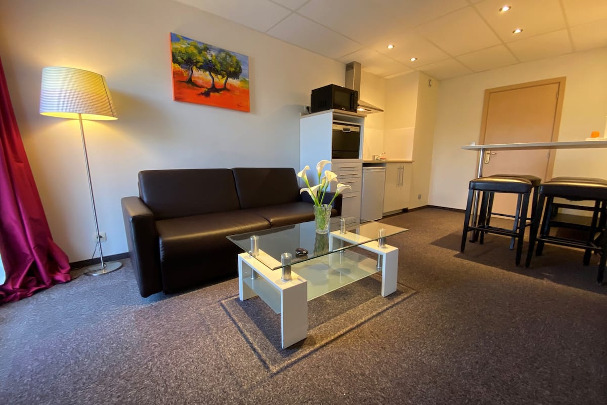 Un salon moderne avec un canapé noir, une table basse en verre, un tableau au mur et un coin cuisine à l’arrière-plan.