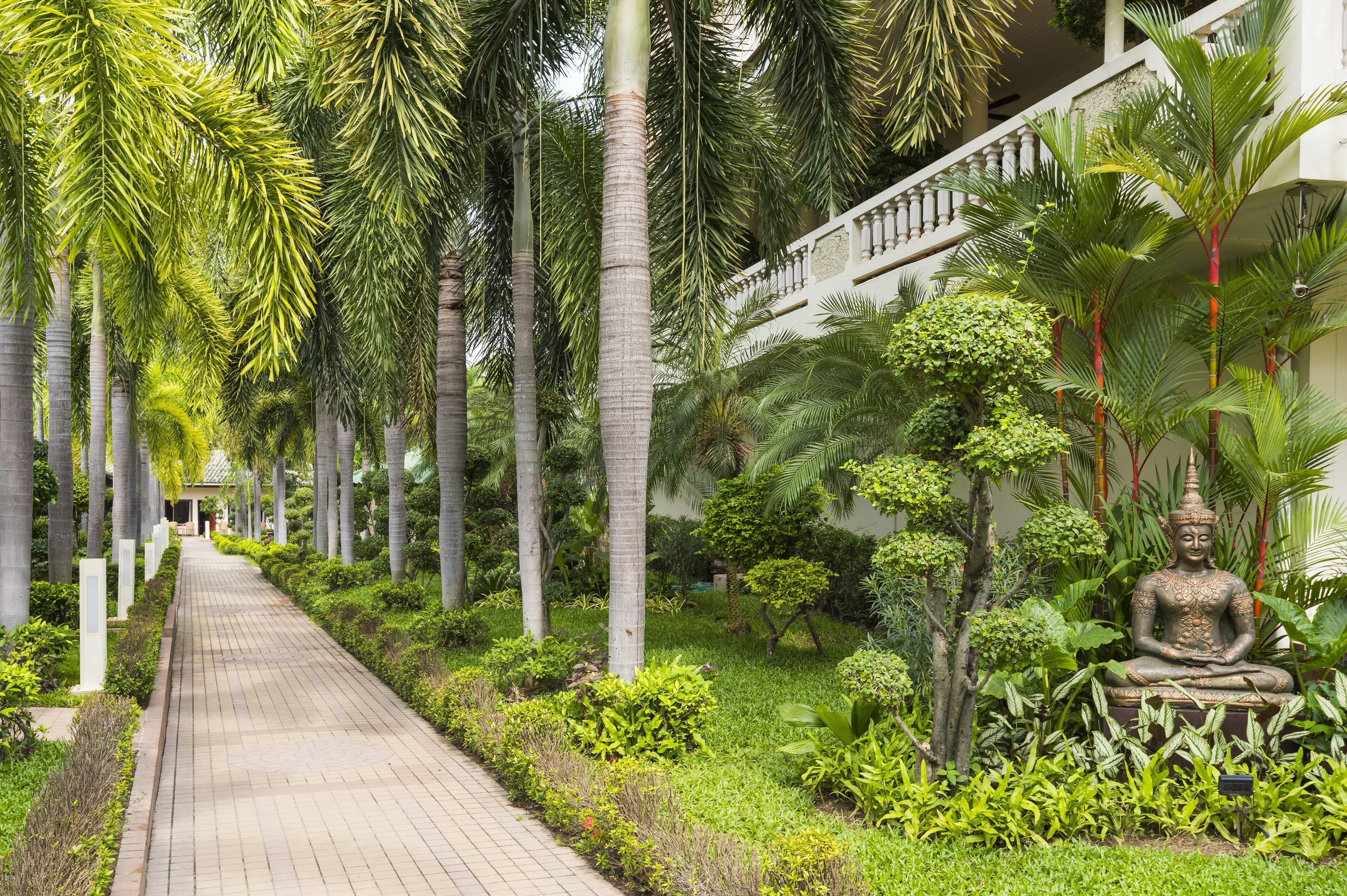 A pathway lined with palm trees and a Buddha statue in a lush garden setting.