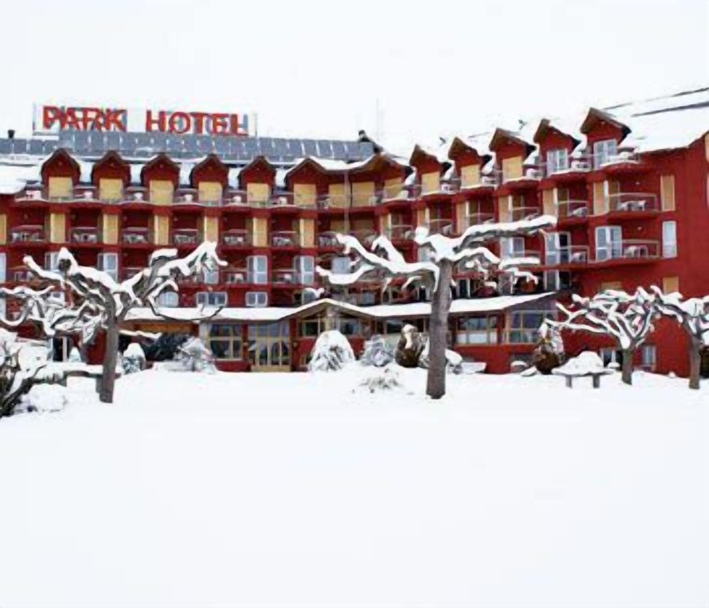 Photo - Puigcerda Park Hotel