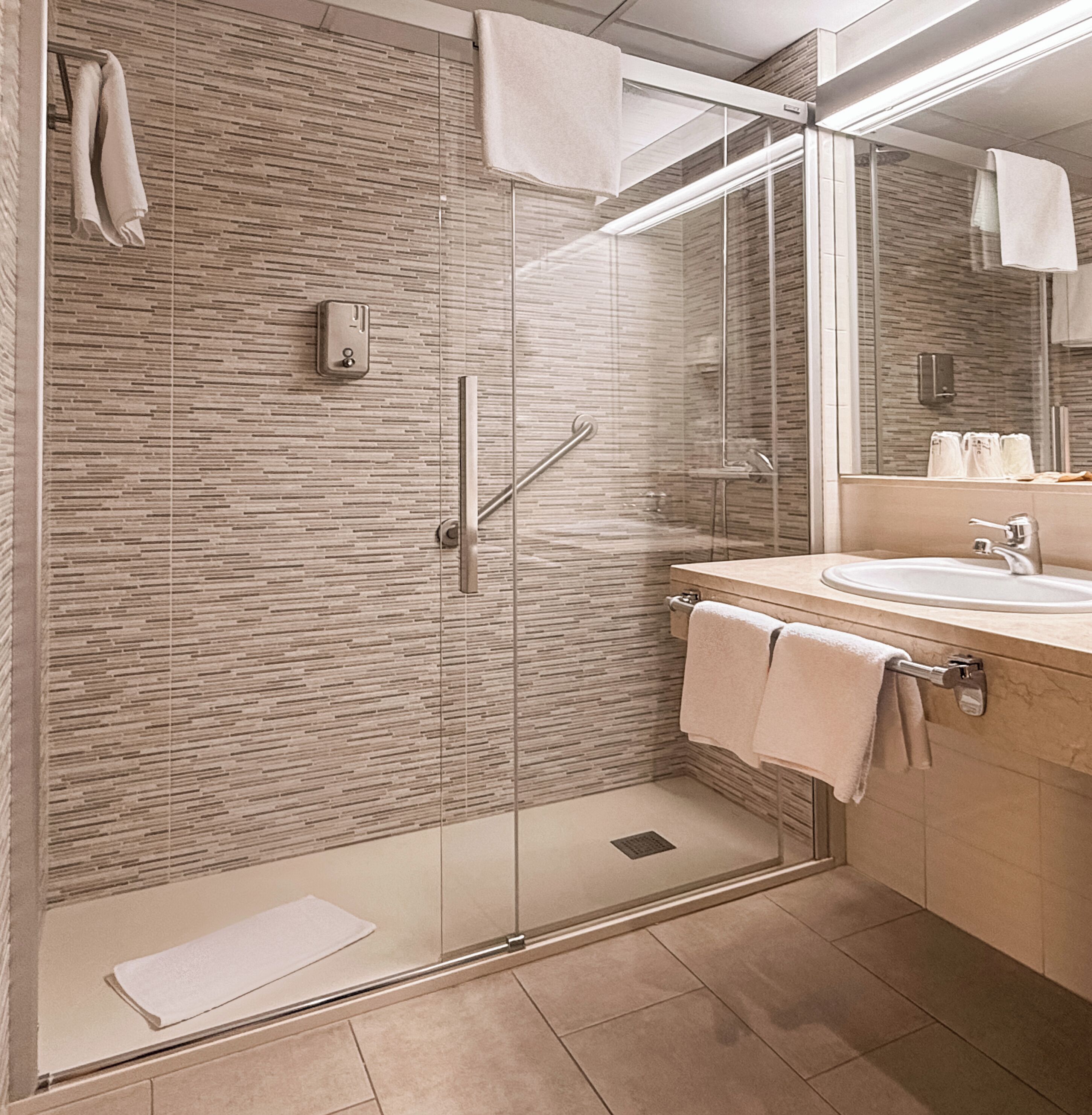 Photo - Puigcerda Park Hotel