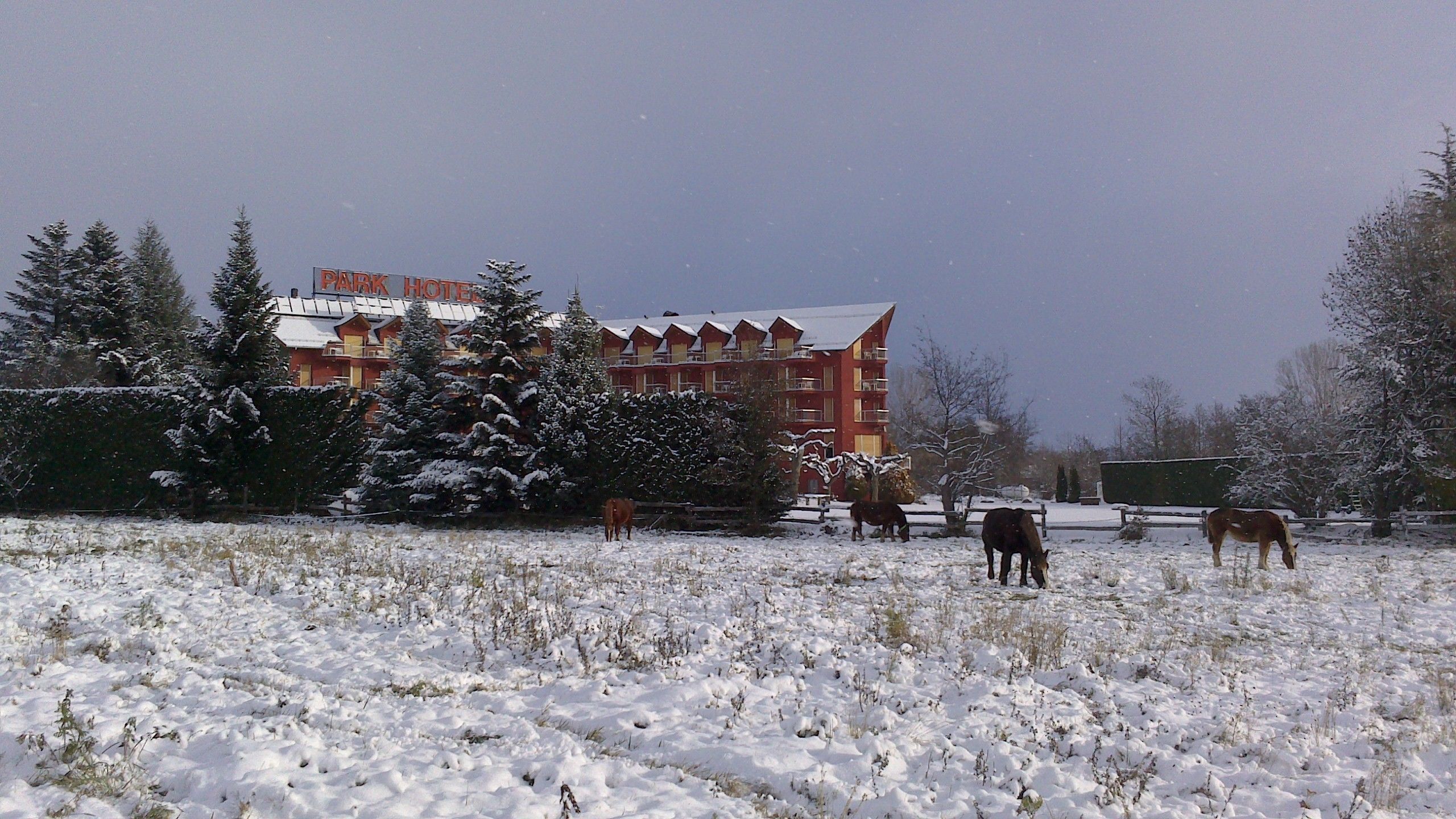 A snow-covered field with a building labeled "Park Hotel" in the background.