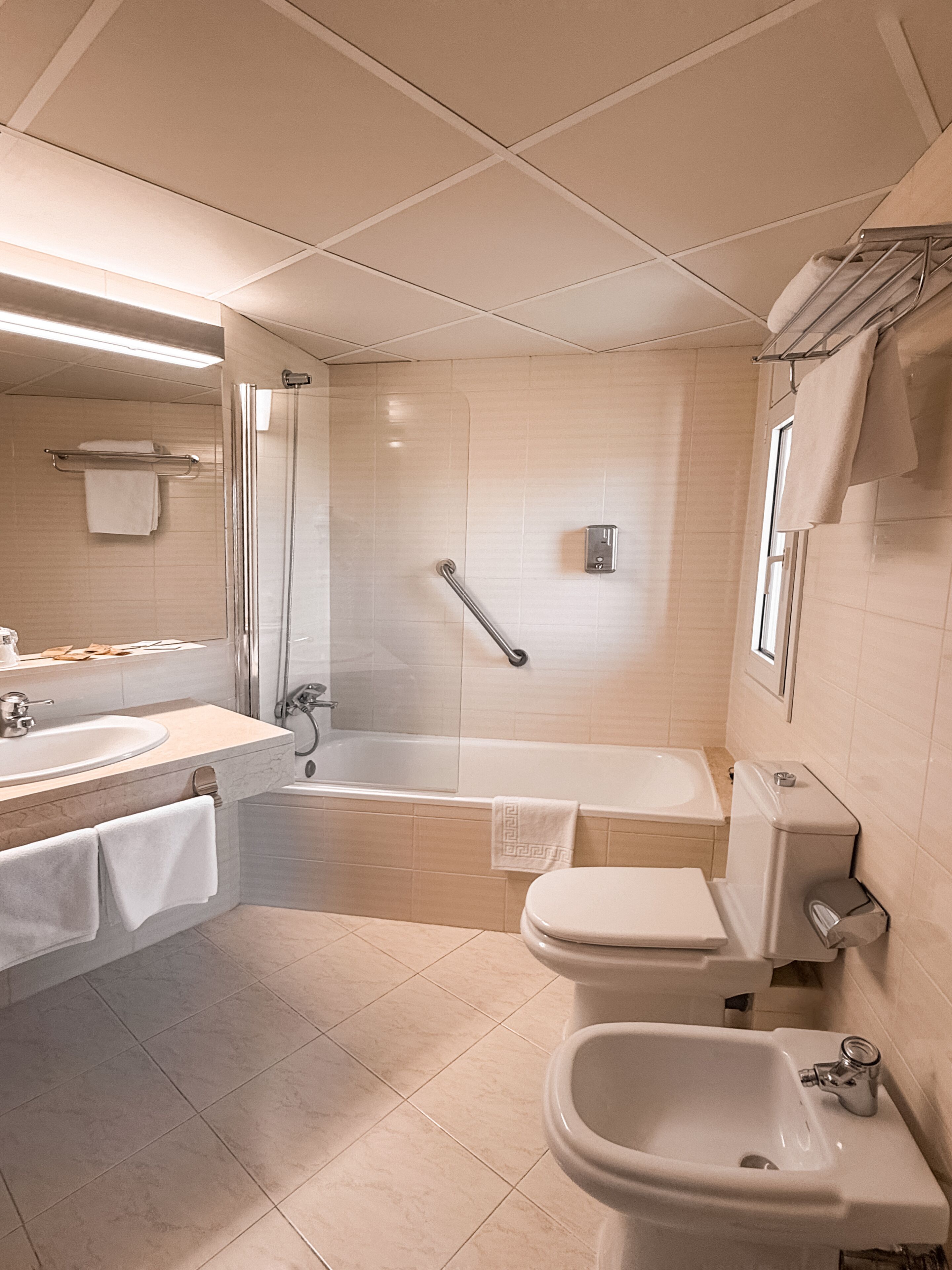 Photo - Puigcerda Park Hotel