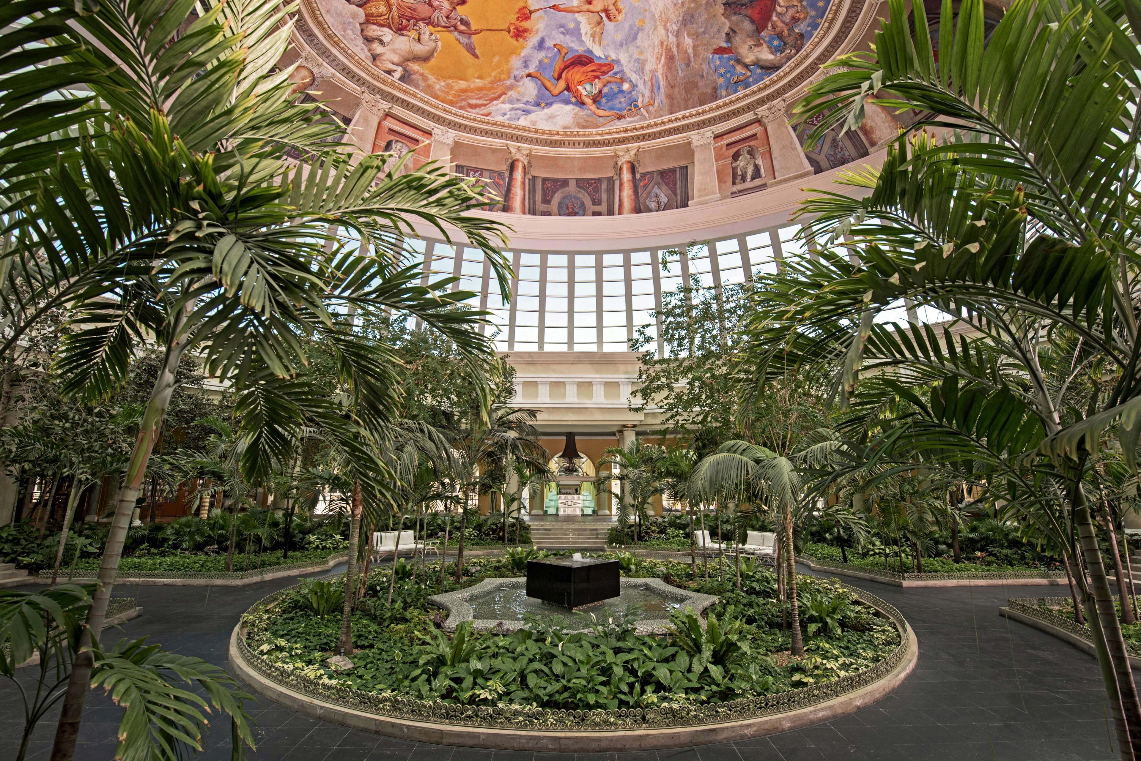 Photo - JOIA Paraiso by Iberostar - Adults Only All Inclusive Resort