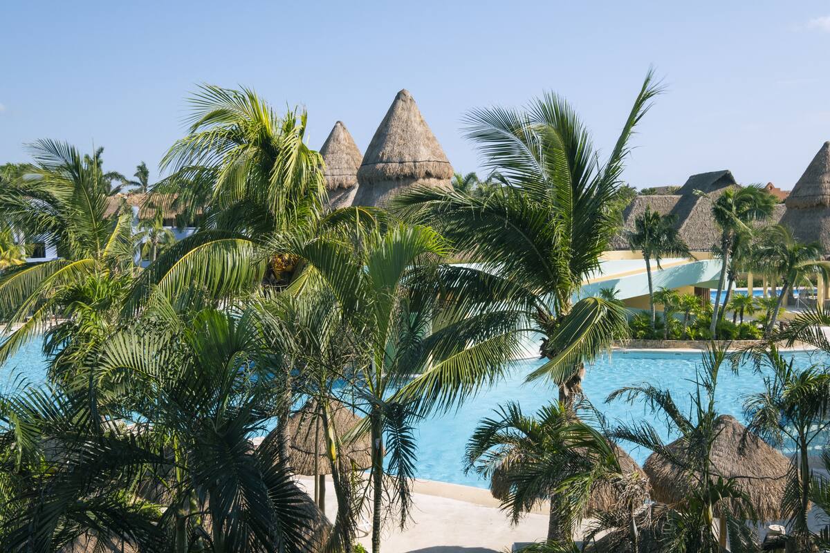 A pool area with palm trees and thatched-roof structures.
