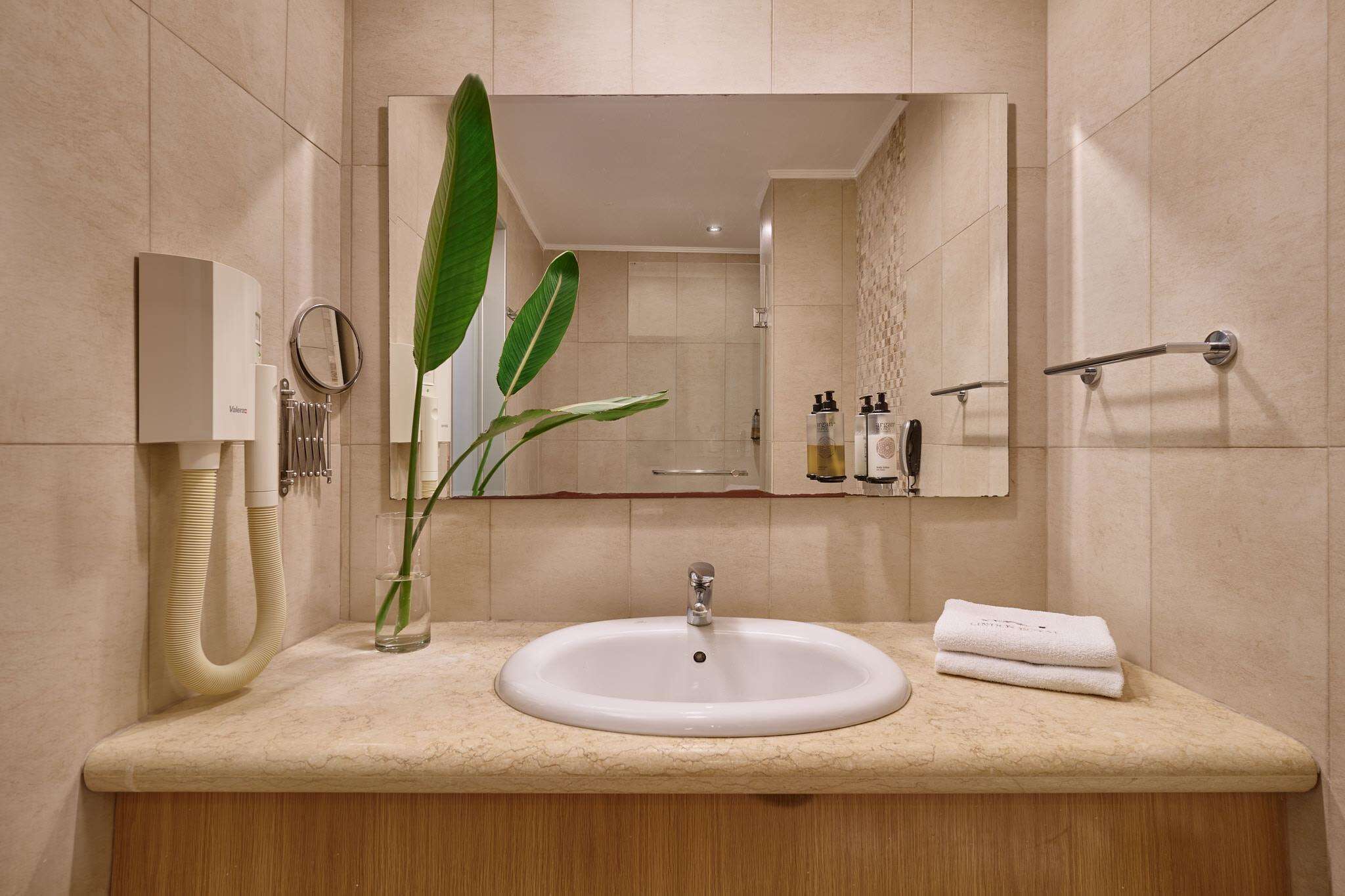 A bathroom with a sink, mirror, towel rack, and a plant.